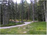 Rifugio Rio Gere - Rifugio Faloria